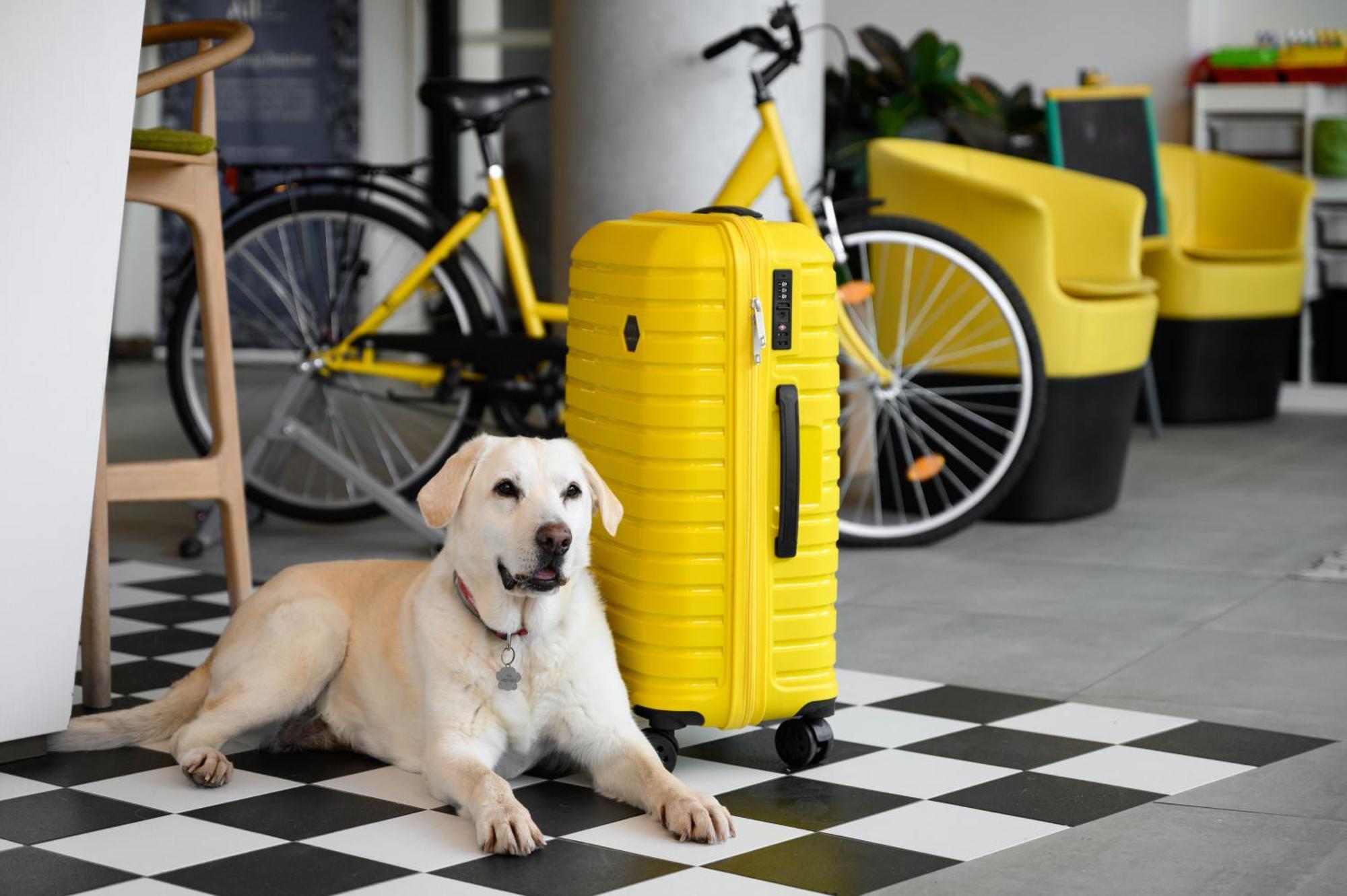 Ibis Styles Budapest City Kültér fotó
